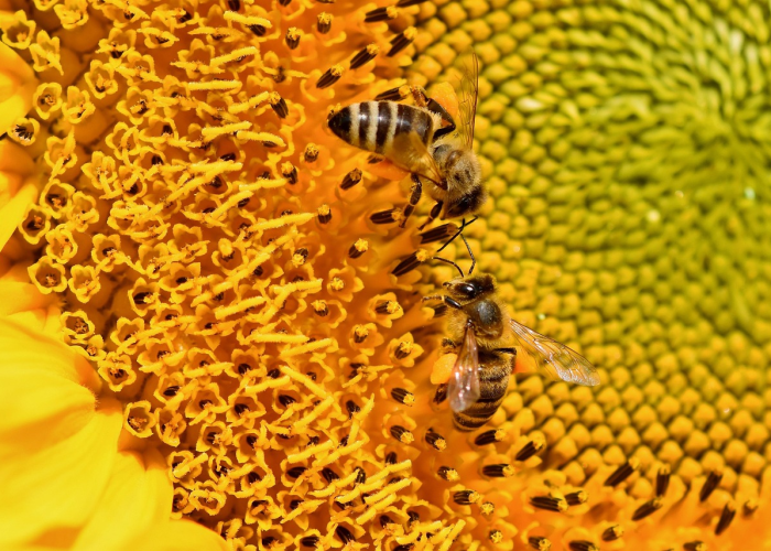 玩家必看“皖江欢乐麻将可以透视开挂吗”(千真万确有挂)-知乎 玩家必看“皖江欢乐麻将可以透视开挂吗”(千真万确有挂)-知乎