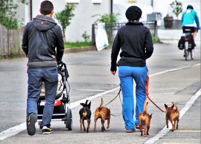 科学精准防控，福建动态调整中高风险区