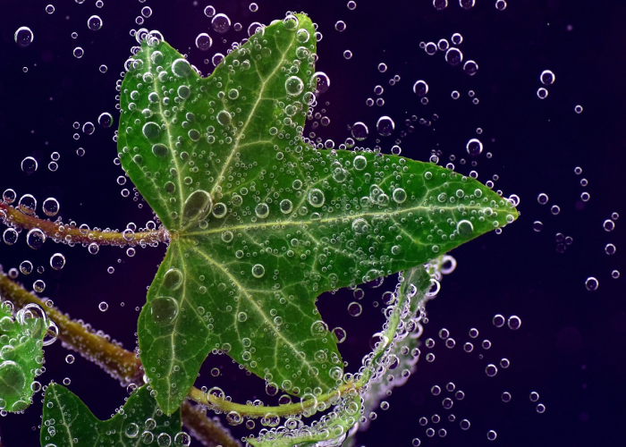 曾光预警，疫情第二阶段或持续1至2年，我们如何与病毒持久共舞？