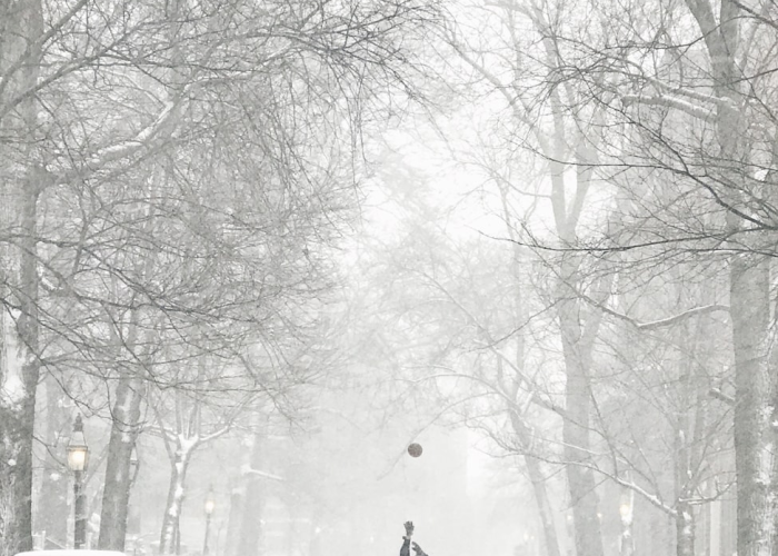 哈尔滨暴雪了吗?一场雪,看透一座城的筋骨 哈尔滨暴雪了吗?一场雪,看透一座城的筋骨