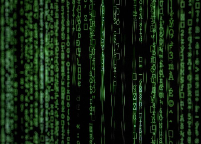 实测普及“东阳四副牌有没有透视开挂”(开挂提高胜率)-知乎 实测普及“东阳四副牌有没有透视开挂”(开挂提高胜率)-知乎