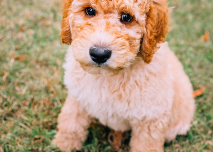 【山西疫情最新情况实时动态/山西疫情最新情况实时动态图】