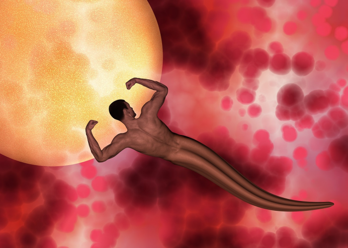 一个人会感染多种性病吗(一个人会有多种性病吗) 一个人会感染多种性病吗(一个人会有多种性病吗)