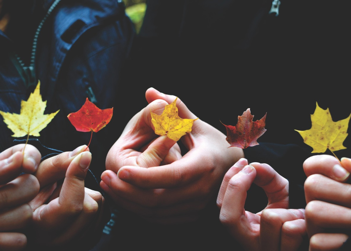 一个人会感染多种性病吗(一个人会有多种性病吗) 一个人会感染多种性病吗(一个人会有多种性病吗)