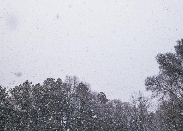 【清明节高速免费嘛/清明节高速是不是免费?】 【清明节高速免费嘛/清明节高速是不是免费?】