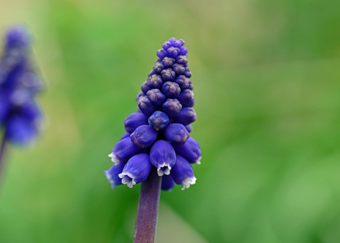 【玩家必看实操】“新道游怎么可以开挂”(开挂透视教程)-知乎 【玩家必看实操】“新道游怎么可以开挂”(开挂透视教程)-知乎