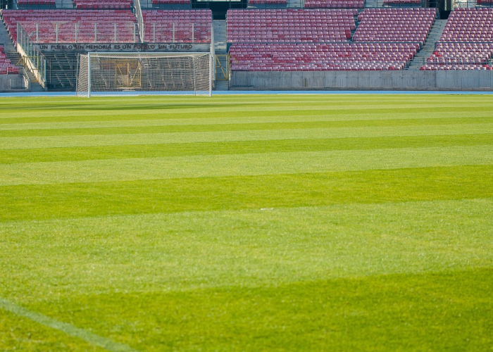 2024巴黎奥运会奖牌榜解析，荣耀、突破与体育新格局