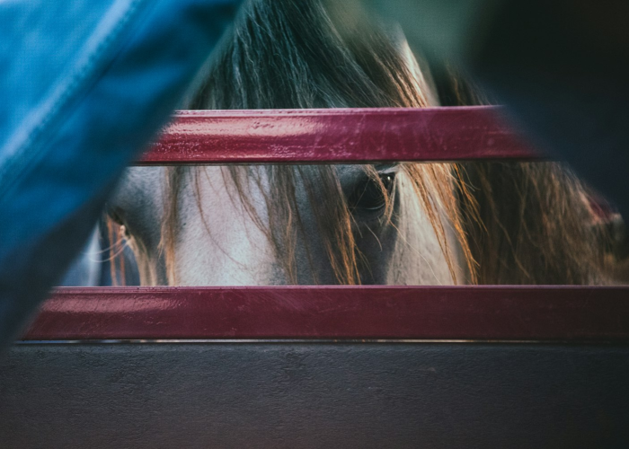 实测普及“指尖四川麻将透视开挂功能”(千真万确有挂)-知乎