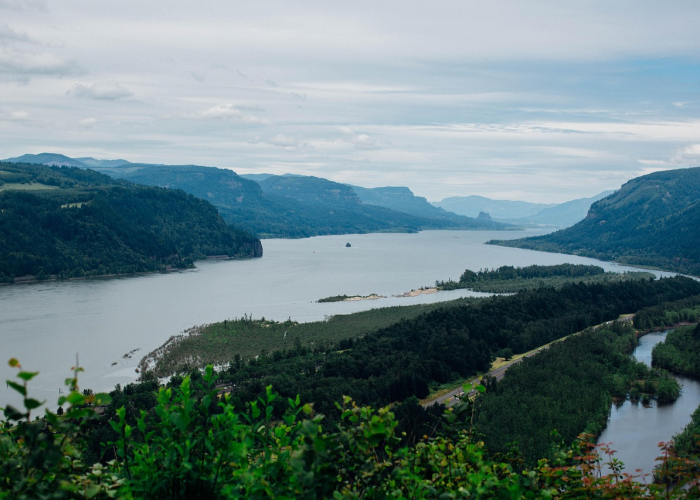 给大家科普一下“乐乐安徽麻将是不是有透视辅助”(详细开挂教程)-知乎