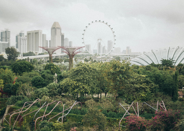 玩家实测“麻友圈安装版确实有挂”(原来确实有挂)-知乎 玩家实测“麻友圈安装版确实有挂”(原来确实有挂)-知乎