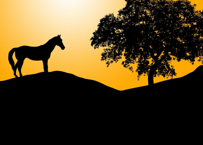 2023年清明节是哪一天什么时候/2023年清明节是哪一天什么时候开始 2023年清明节是哪一天什么时候/2023年清明节是哪一天什么时候开始