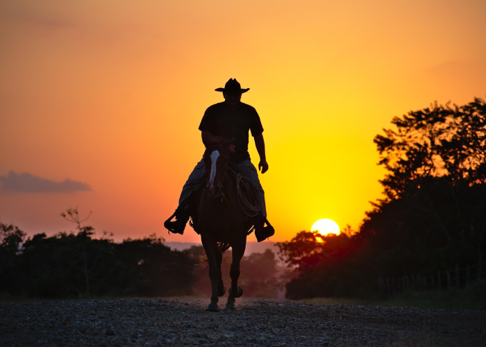 元旦不调休，当小长假回归本真，我们如何重拾节日初心？