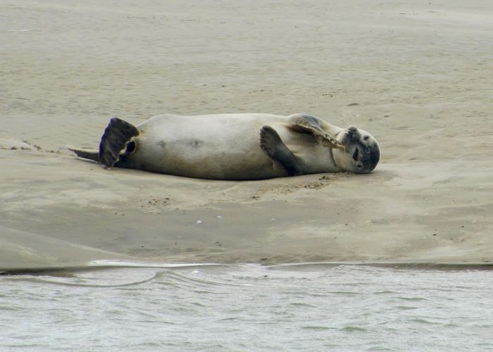 【非疫区核酸检测有必要做吗/非疫区到疫区要隔离吗?】 【非疫区核酸检测有必要做吗/非疫区到疫区要隔离吗?】