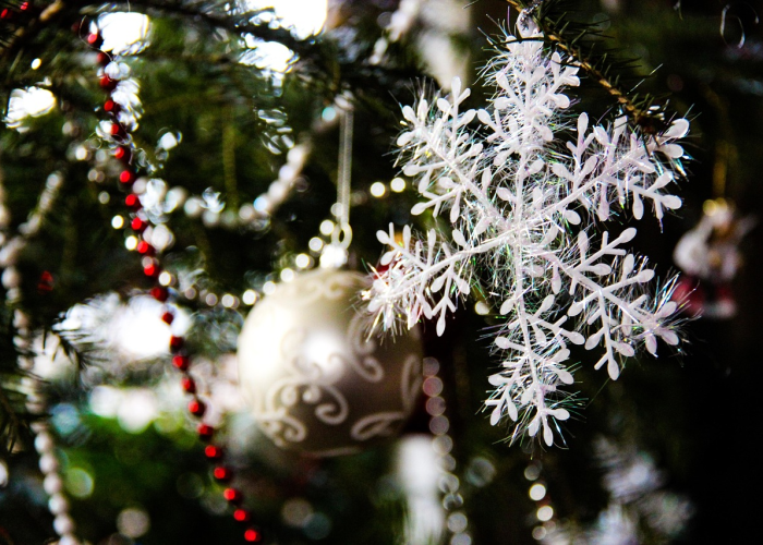 我来告诉大家樱花之盛确实有挂”(真实可以装挂)-知乎 我来告诉大家樱花之盛确实有挂”(真实可以装挂)-知乎