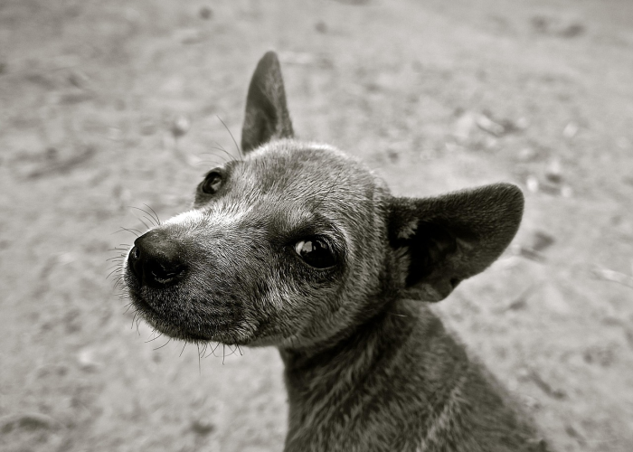 【东港疫情最新消息今天/东港疫情最新消息今天封城了】 【东港疫情最新消息今天/东港疫情最新消息今天封城了】