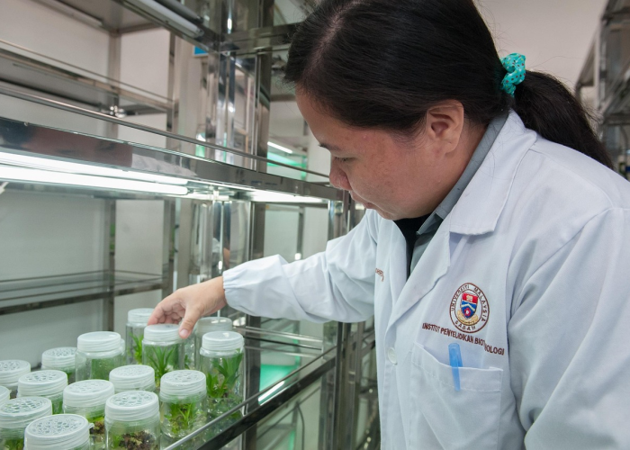 【传染病一个月后都能检测出来吗/传染病几个月能检查出来】 【传染病一个月后都能检测出来吗/传染病几个月能检查出来】