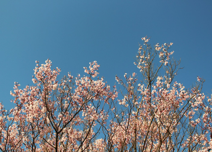 上饶市疫情/上饶市疫情防控指挥部办公室 上饶市疫情/上饶市疫情防控指挥部办公室