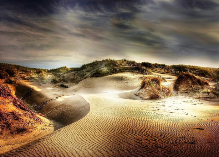 云散云聚猜生肖/云散云聚打一动物 云散云聚猜生肖/云散云聚打一动物