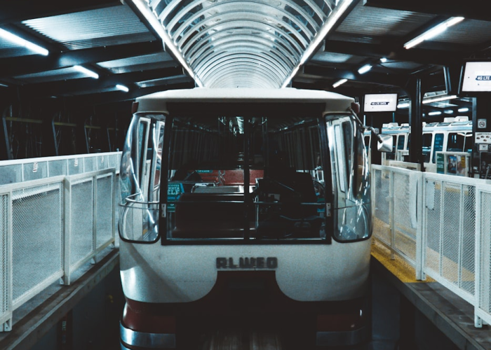 北京零新增第几天(北京连续10天本土新增确诊为零) 北京零新增第几天(北京连续10天本土新增确诊为零)