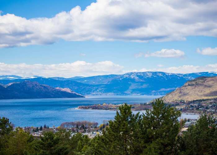 武汉疫情迅速扩散的多维透视,从城市禀赋到应急响应的复杂交织 武汉疫情迅速扩散的多维透视,从城市禀赋到应急响应的复杂交织
