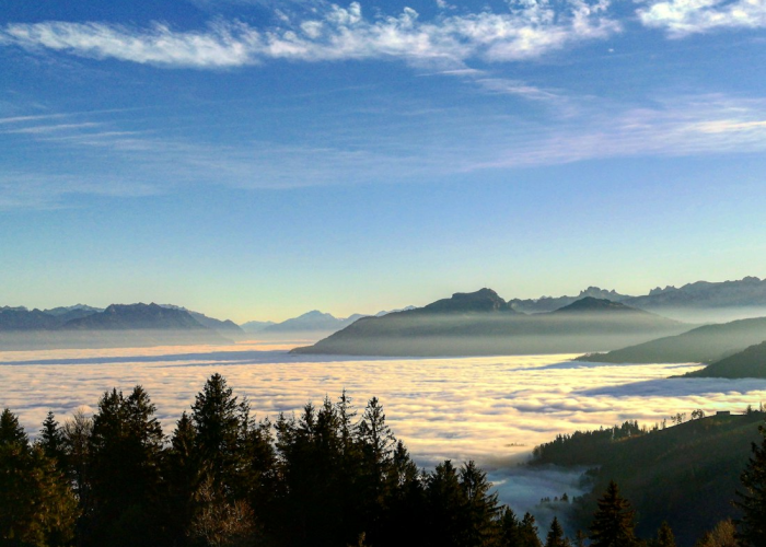 我来教大家“云水谣透视挂神器”(真实可以装挂)-知乎