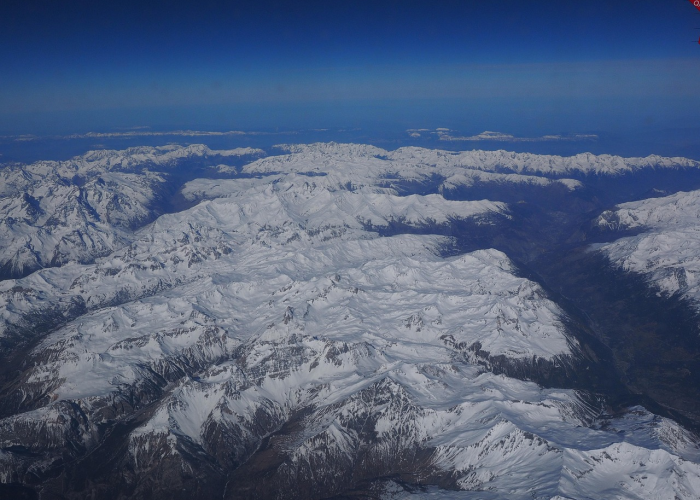 我来教大家“新蓝鲸有没有挂”(果然有挂)-知乎 我来教大家“新蓝鲸有没有挂”(果然有挂)-知乎