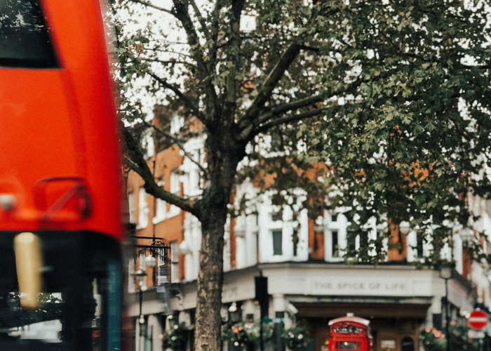 外地牌照在上海怎么开:限行跟着导航走可以吗