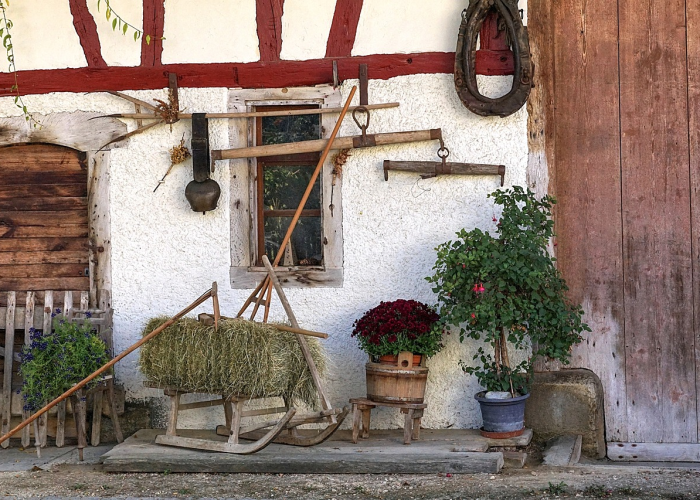核酸检测单管与混管揭秘,为何有时一人一管,有时五人一管? 核酸检测单管与混管揭秘,为何有时一人一管,有时五人一管?