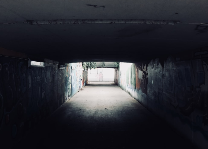 玩家分享攻略“新悟空有没有开挂透视”(千真万确有挂)-知乎