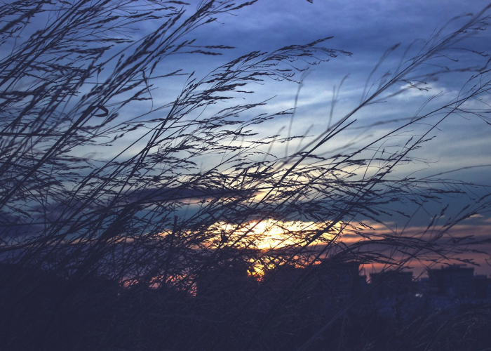 分享给大家“皮皮衡阳字牌透视开挂神器”(真实可以装挂)-知乎 分享给大家“皮皮衡阳字牌透视开挂神器”(真实可以装挂)-知乎