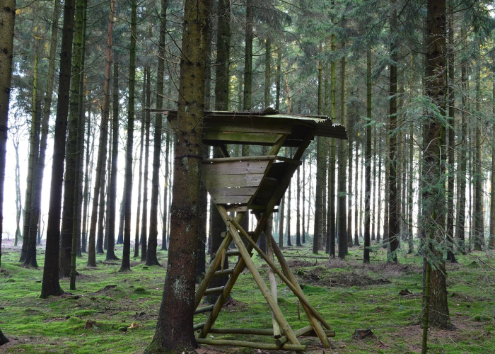 我来告诉大家云众巅峰真的有透视挂”(辅助开挂教程)-知乎