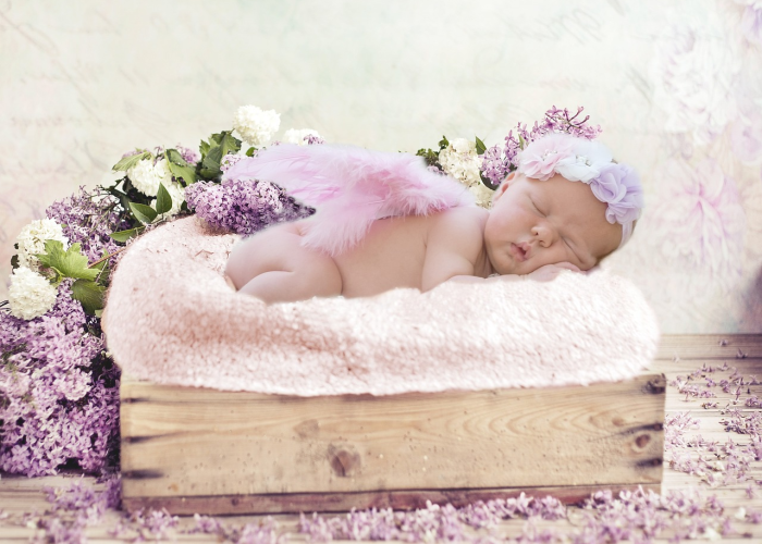 专家回应新生儿感染问题视频/专家回应新生儿感染问题视频讲解 专家回应新生儿感染问题视频/专家回应新生儿感染问题视频讲解