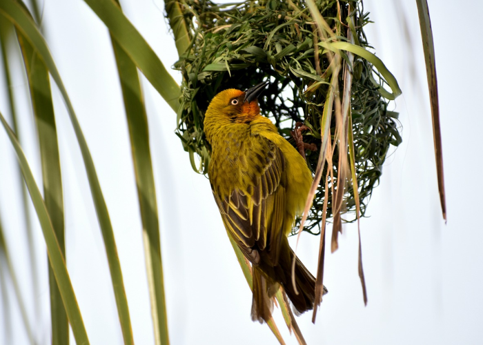 玉山疫情最新消息今日通报，防控措施持续优化，社会秩序平稳有序
