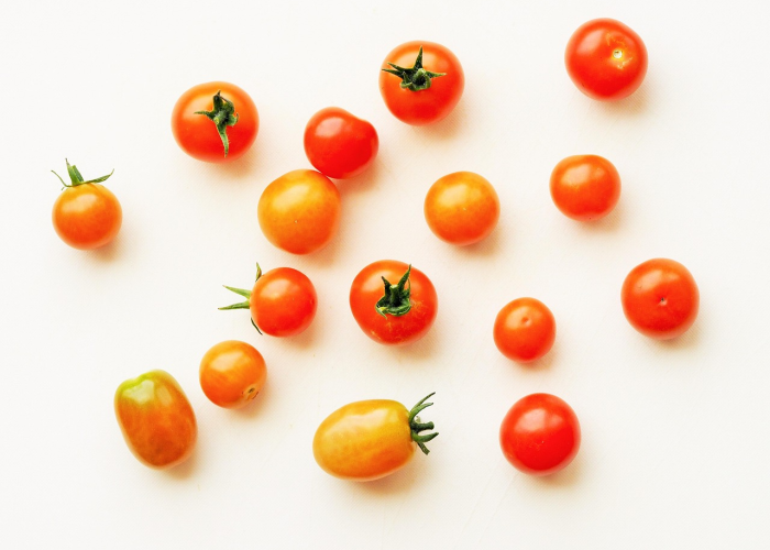 经验分享“欢乐情怀麻将开挂辅助教程”(果然有挂)-知乎 经验分享“欢乐情怀麻将开挂辅助教程”(果然有挂)-知乎