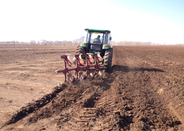 郑州4地调整为中风险地区，精准防控下的城市应对与市民责任