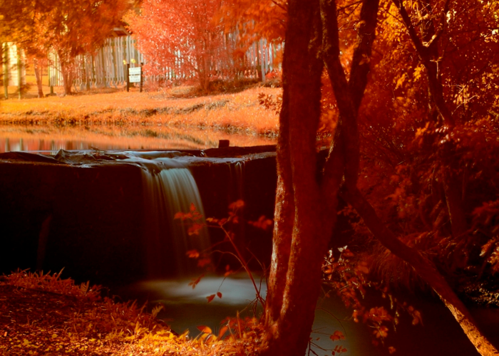 秋入江南画图中，十月份江浙沪寻幽指南