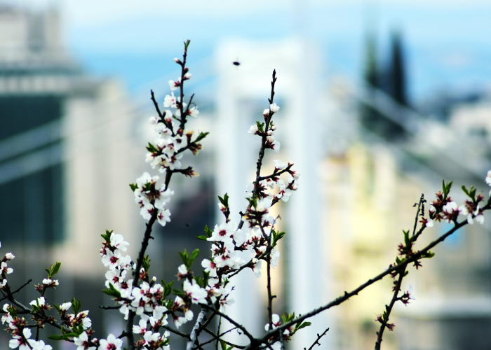 分享给大家“丽金娱乐透视软件教程”(开挂提高胜率)-知乎 分享给大家“丽金娱乐透视软件教程”(开挂提高胜率)-知乎