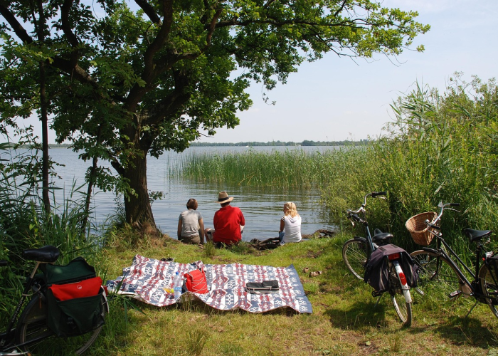 哈尔滨的小区，在封闭中等待春天