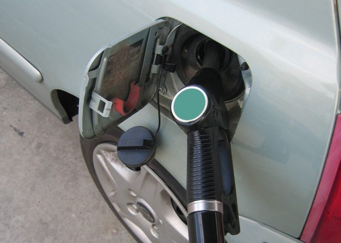 厦门发现一例/厦门发现1例阳性