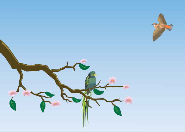 一见如故打一生肖数字/一见如故,准确答案是什么生肖 一见如故打一生肖数字/一见如故,准确答案是什么生肖