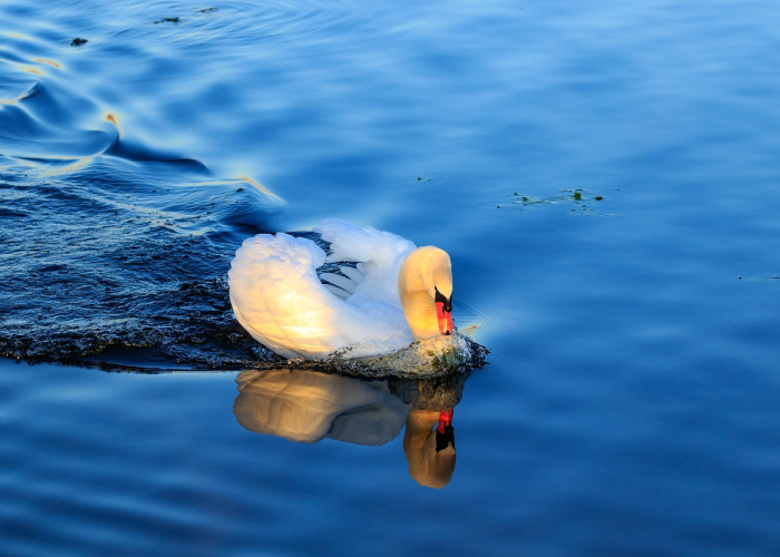 让梦飞翔舞蹈，在脚尖与云端之间