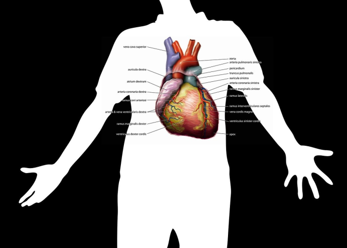 核酸检测多次为阴性的确诊病例/核酸几次阴性还会不会传染 核酸检测多次为阴性的确诊病例/核酸几次阴性还会不会传染