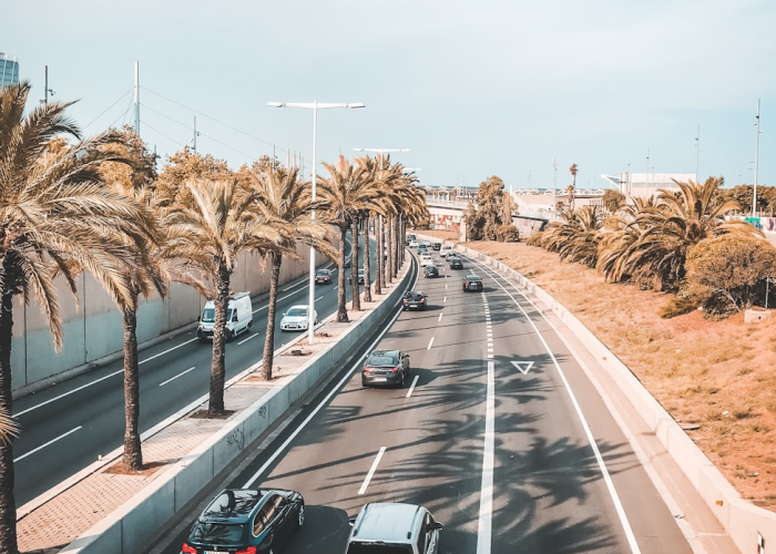 2019高速公路春节免费到几号(2019高速公路春节免费到几号结束) 2019高速公路春节免费到几号(2019高速公路春节免费到几号结束)