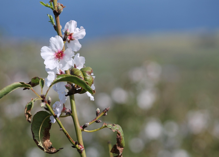 玩家必看科普“微乐河南麻将开挂透视有吗”(详细开挂教程)-知乎 玩家必看科普“微乐河南麻将开挂透视有吗”(详细开挂教程)-知乎