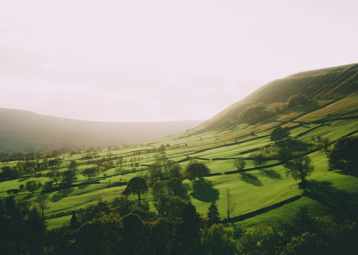 今日重大消息“微微娱乐到底怎么开挂”(其实确实有挂)-知乎 今日重大消息“微微娱乐到底怎么开挂”(其实确实有挂)-知乎