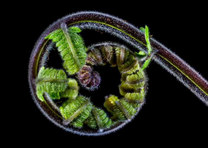 31省新增本土确诊37例:河北33例(31省区市新增确诊33例 含本土17例河北) 31省新增本土确诊37例:河北33例(31省区市新增确诊33例 含本土17例河北)