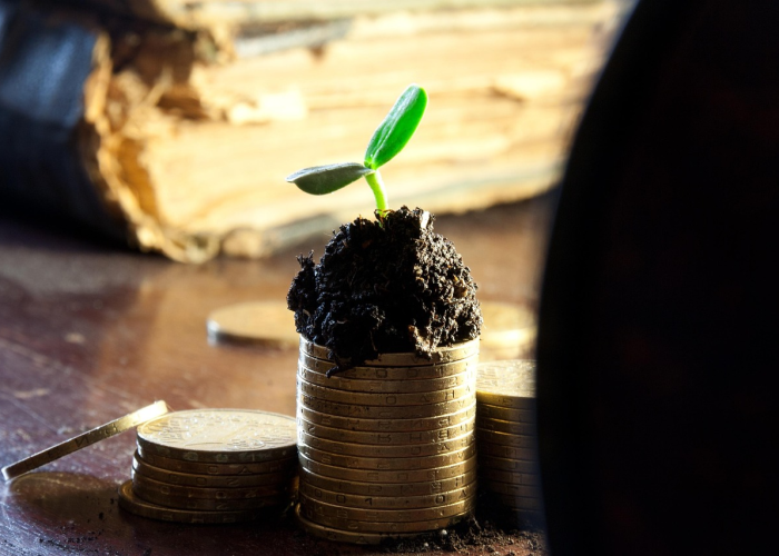 现货黄金价格(现货黄金价格xau) 现货黄金价格(现货黄金价格xau)