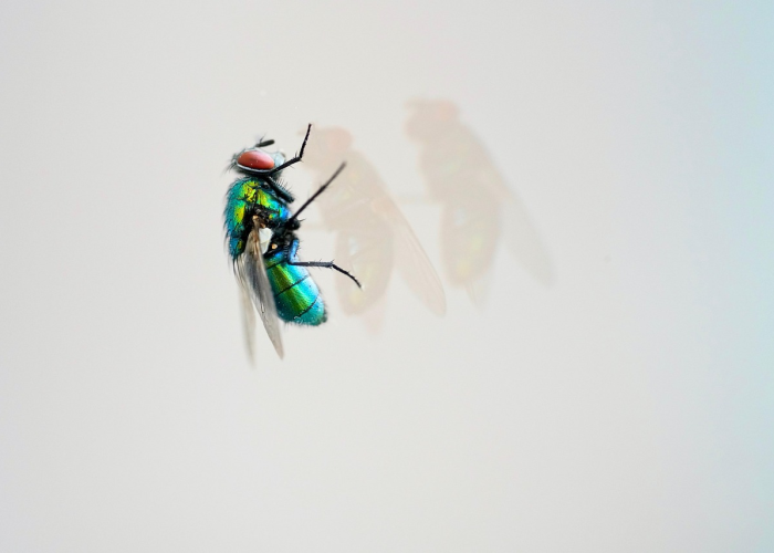 玩家实测“天天斗地主真人版确实有透视辅助”(开挂提高胜率)-知乎 玩家实测“天天斗地主真人版确实有透视辅助”(开挂提高胜率)-知乎