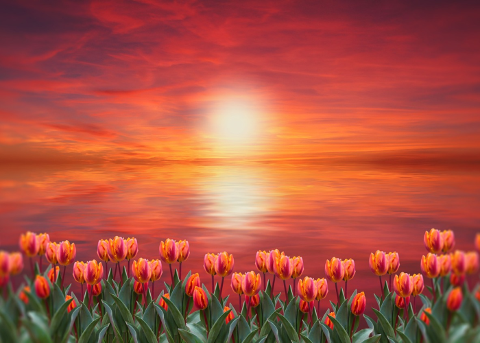 给大家科普一下“微乐陕西三代有没有透视辅助”(其实确实有挂)-知乎 给大家科普一下“微乐陕西三代有没有透视辅助”(其实确实有挂)-知乎