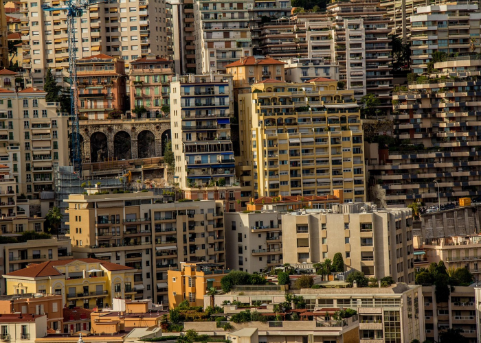 核酸检测报告查询指南，该打什么电话？这份攻略请收好